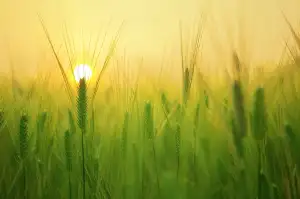 Stavební Povolení Na Fotovoltaiku